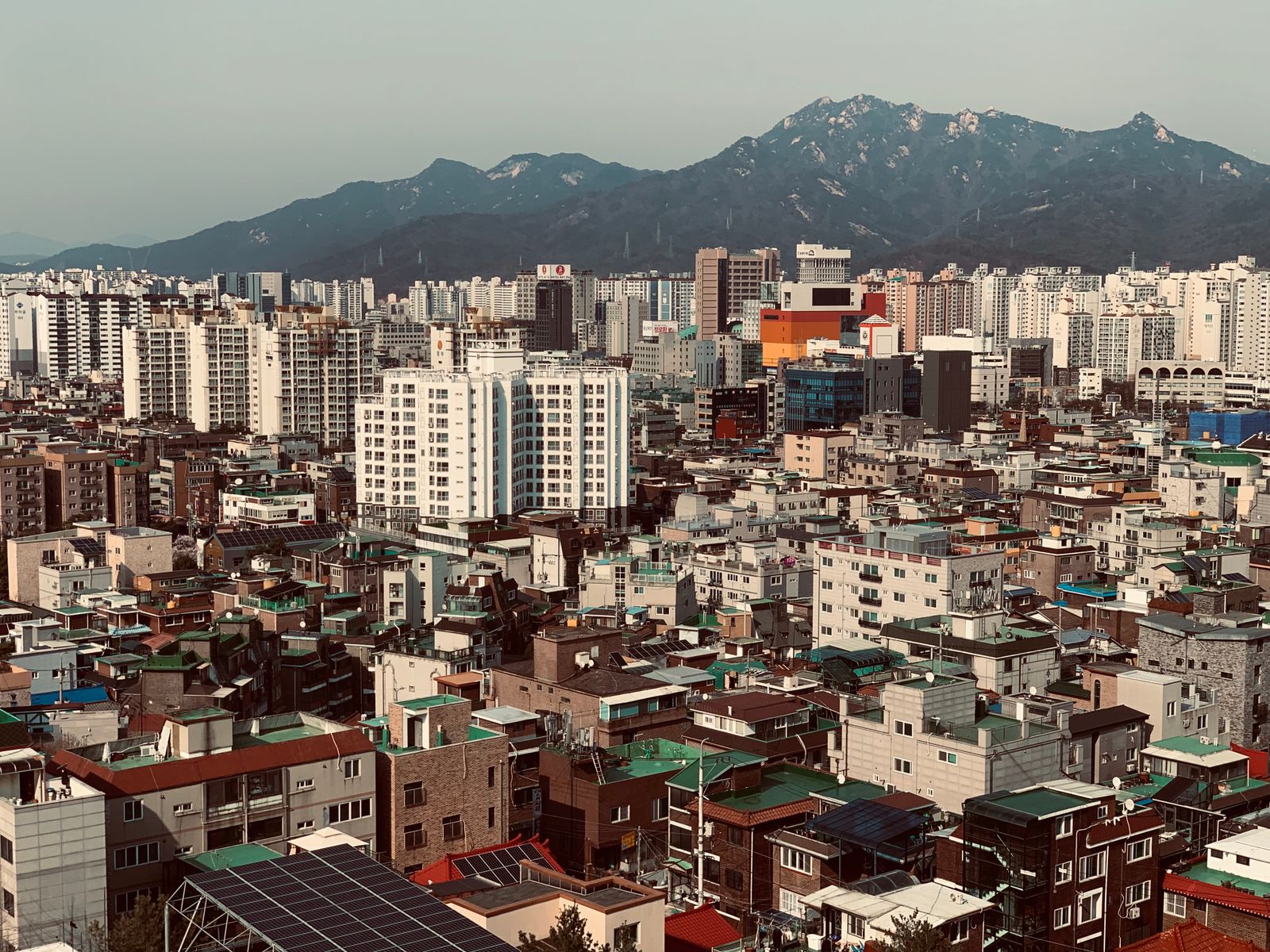 장요근마사지 4
